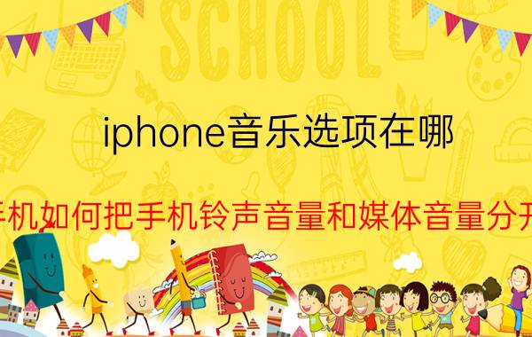 iphone音乐选项在哪 苹果手机如何把手机铃声音量和媒体音量分开设置？